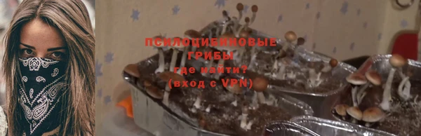 прущий лед Киренск