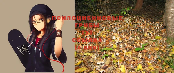 дурь Киреевск