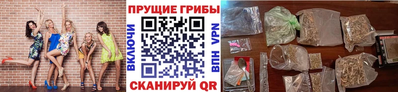 Купить закладки  Миньяр  Галлюциногенные грибы Psilocybine cubensis 